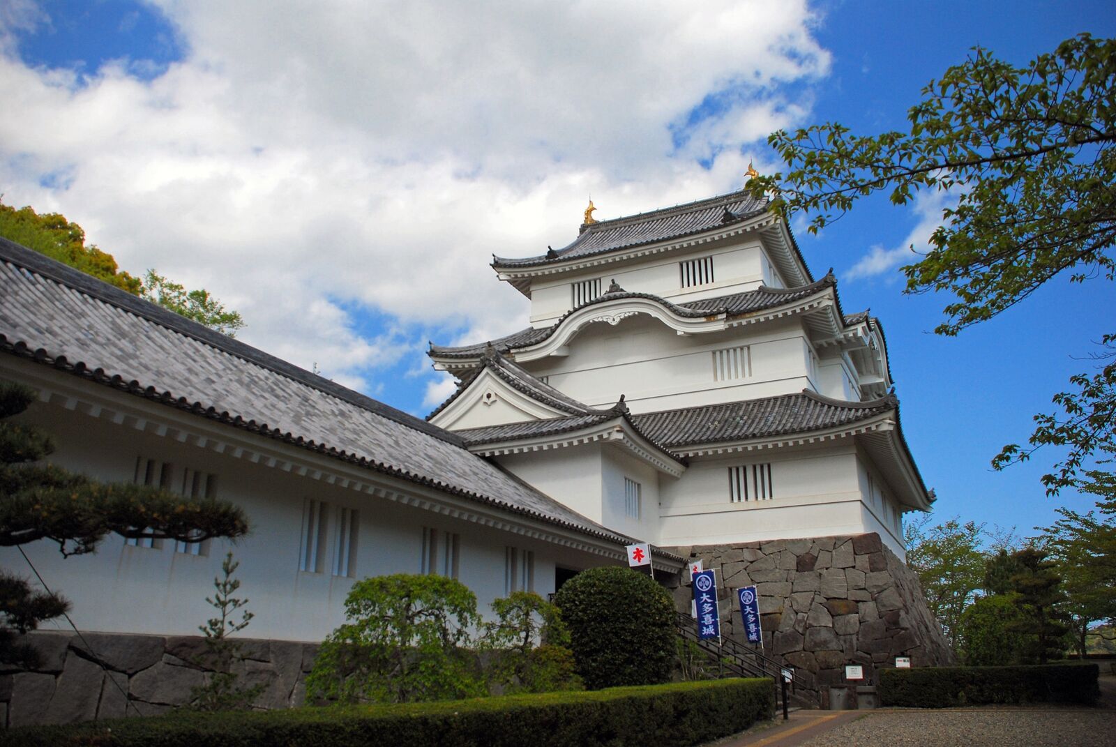 写真
