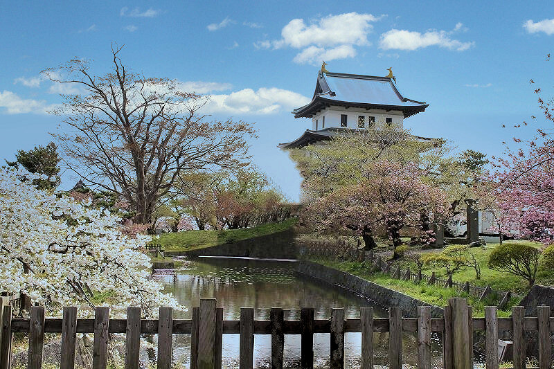写真