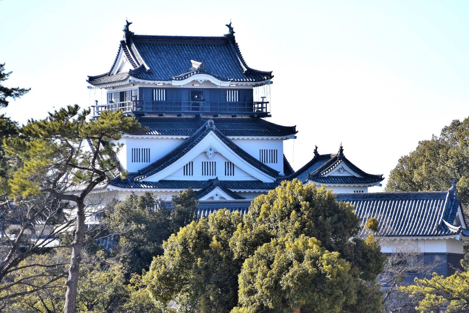 写真