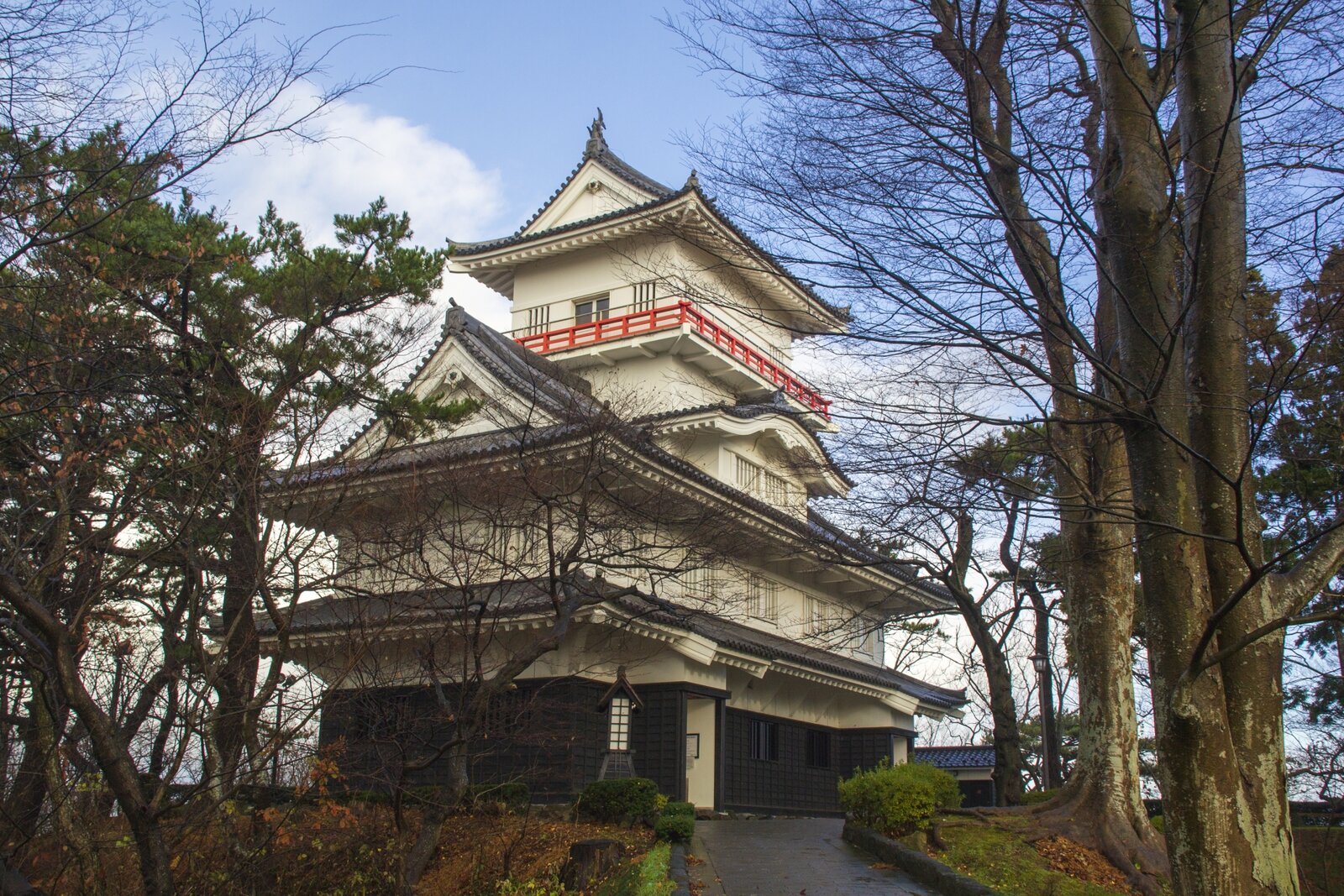 写真
