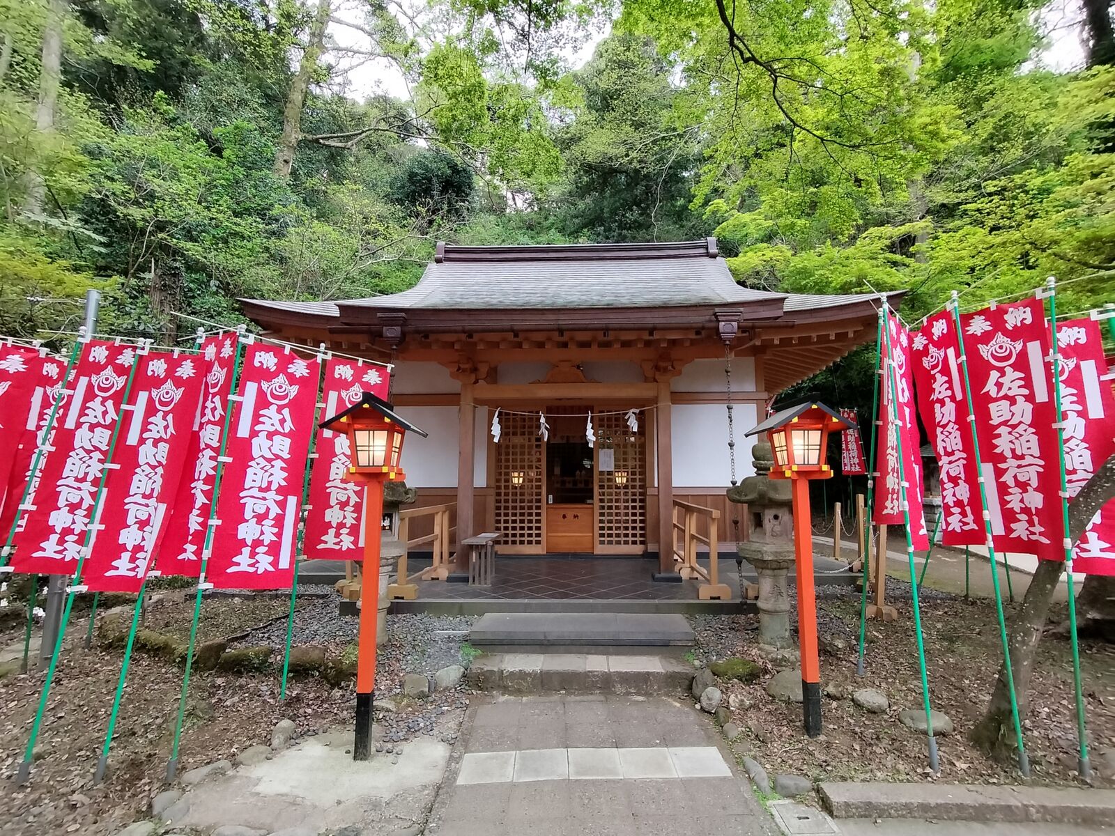 写真