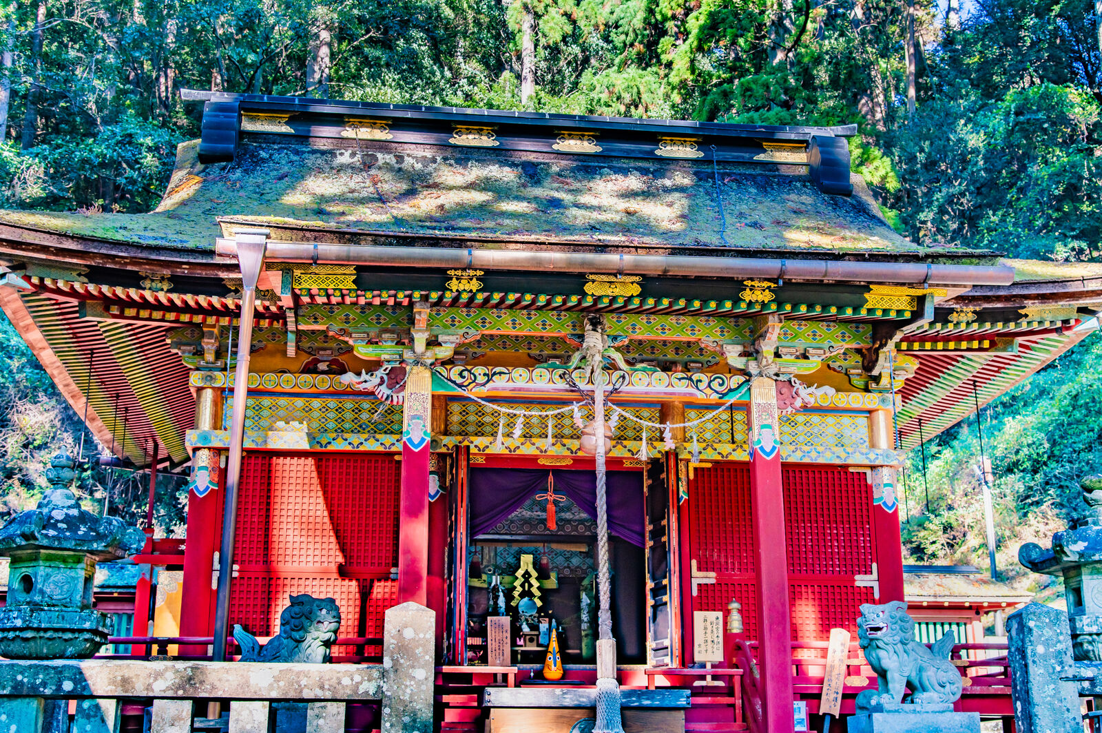 写真