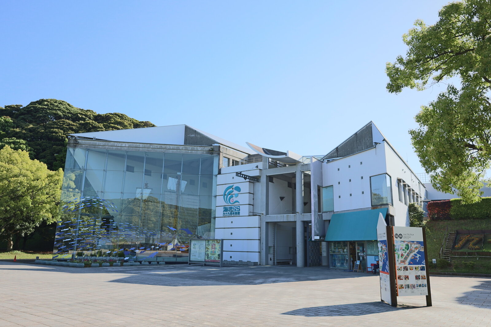 写真