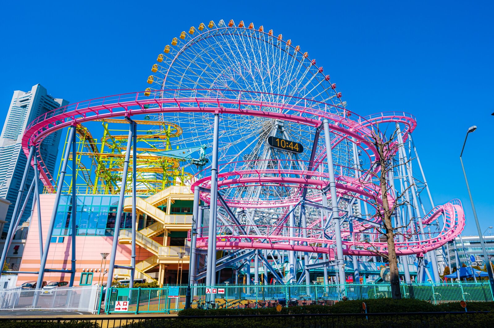 写真
