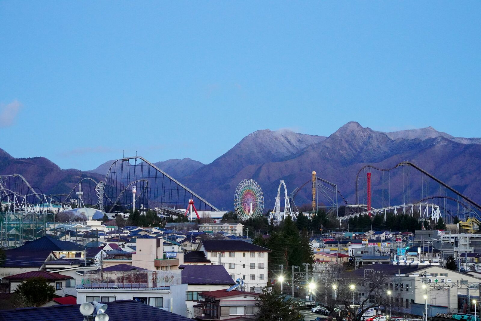 写真
