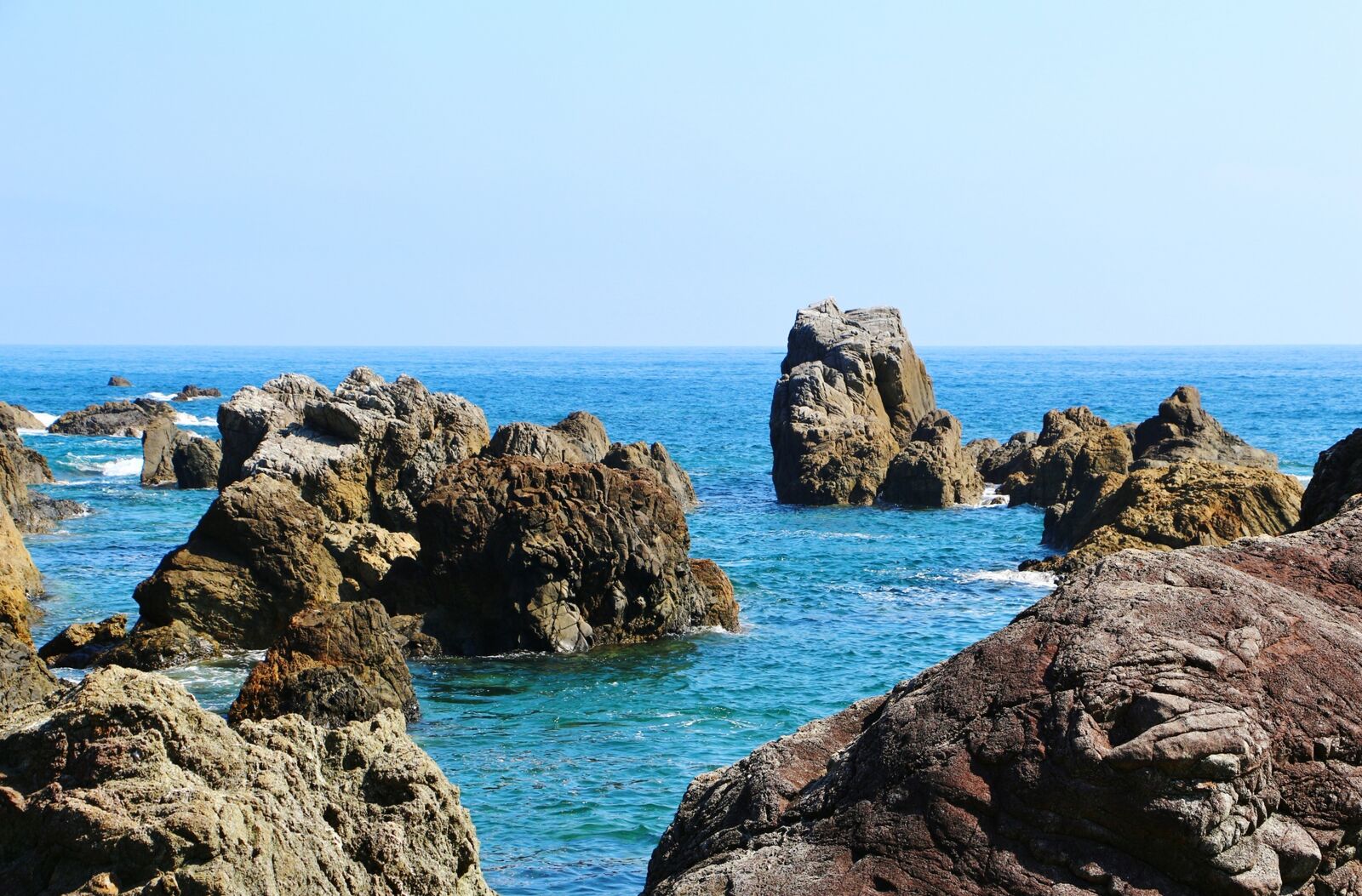 写真