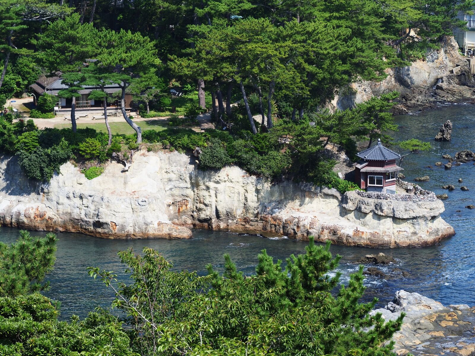 写真
