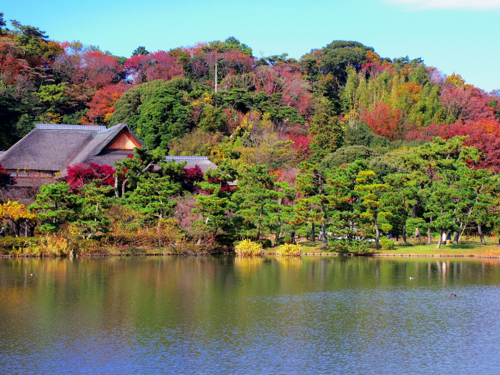 写真