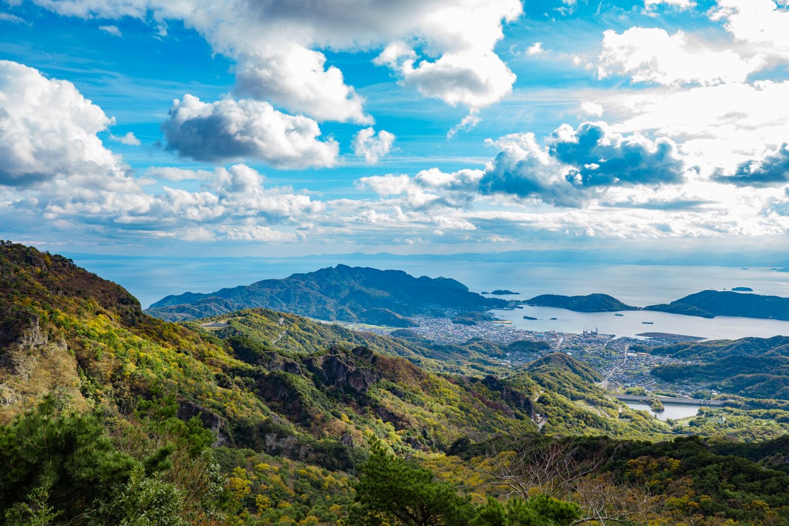 写真