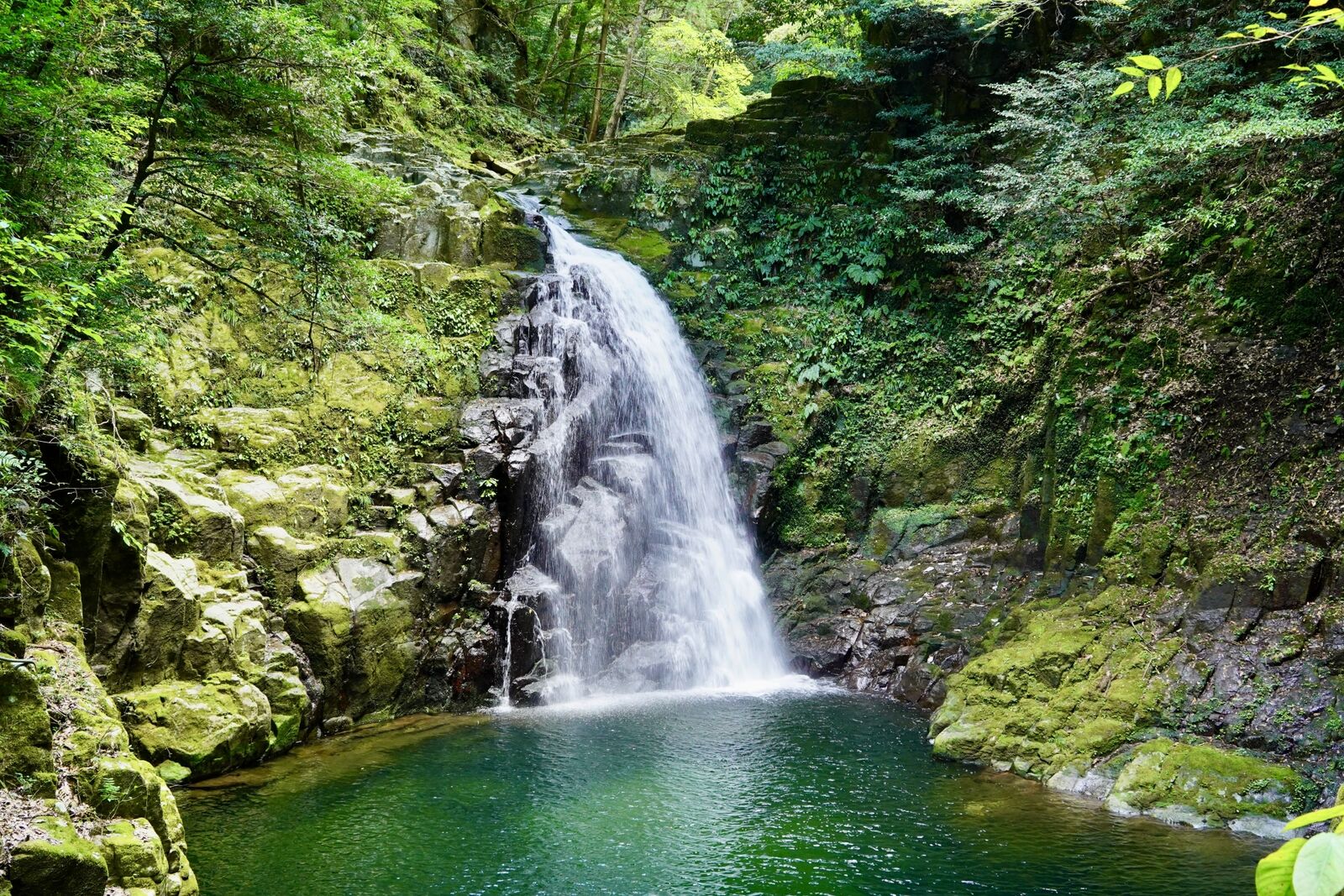 写真